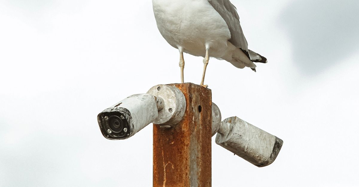 Integrating Analogue CCTV Systems into Existing Security Networks